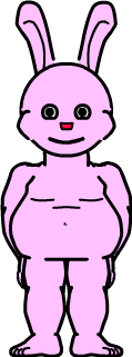 rabbit
