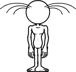 FAP