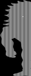 b shadow